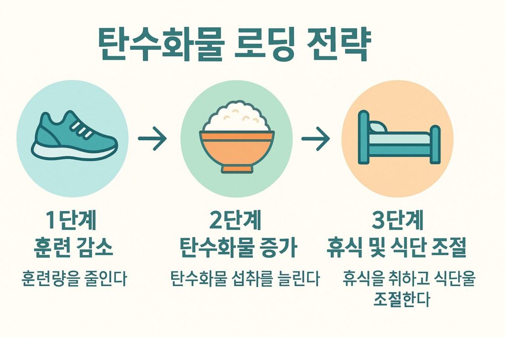 탄수화물 로딩 단계별 전략 요약