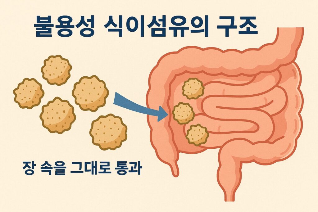불용성 식이섬유의 구조와 특징