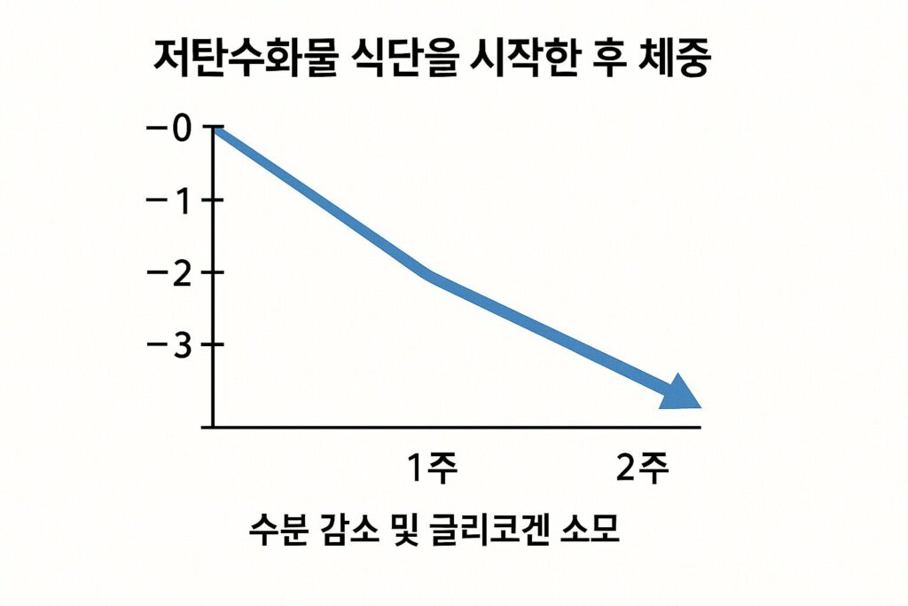 저탄수화물 식단 후 초기 체중 감량 그래프