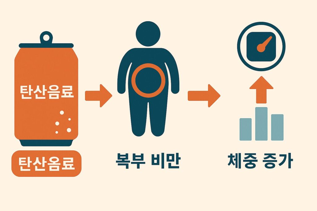 탄산음료와 체중 증가의 관계를 나타낸 인포그래픽