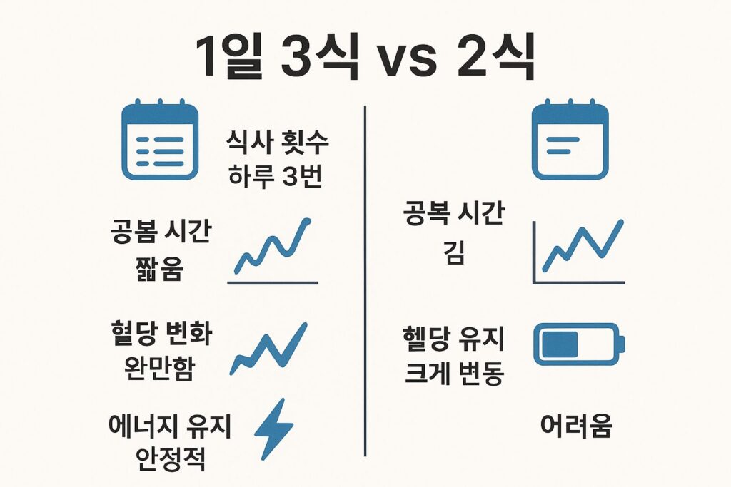 3식 vs 2식 식사 패턴 비교 인포그래픽
