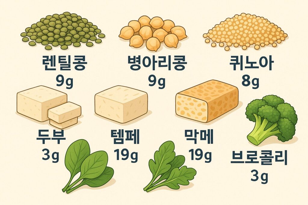 고단백 채식 식품 인포그래픽