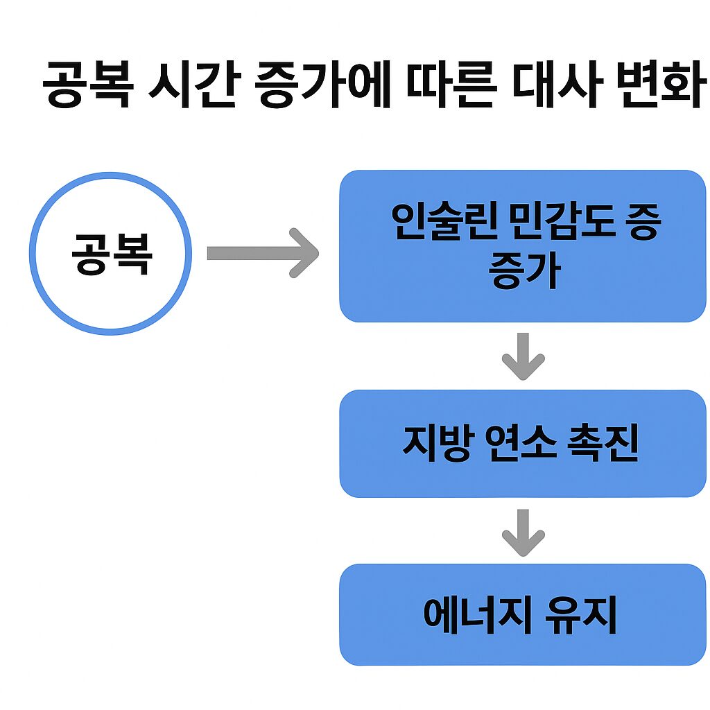 공복 시간과 대사 효과 도식
