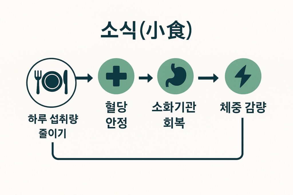  소식 습관 개념 시각화 
