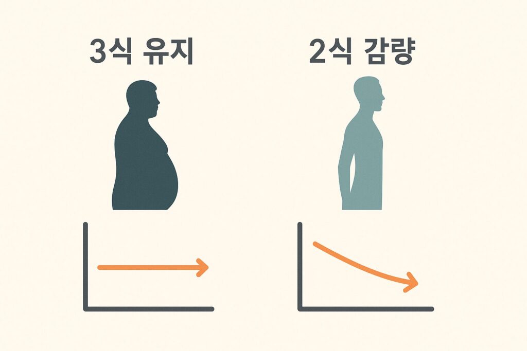 체중 변화 흐름 이미지