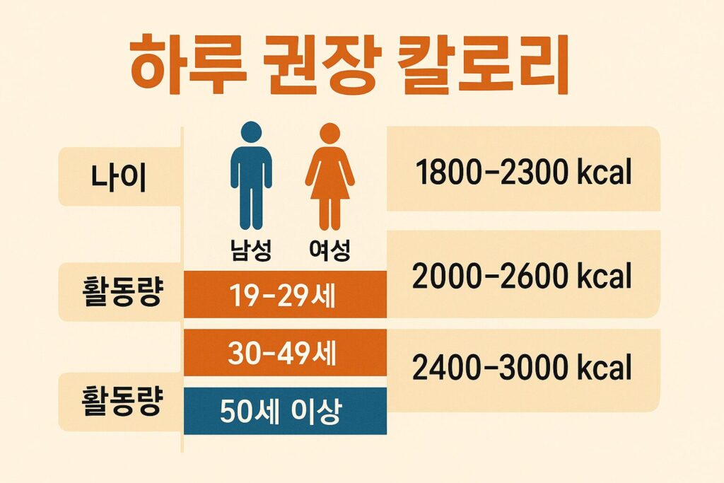 하루 권장 칼로리란