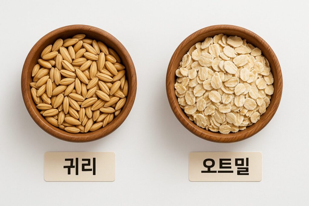 귀리 vs 오트밀 비교 사진