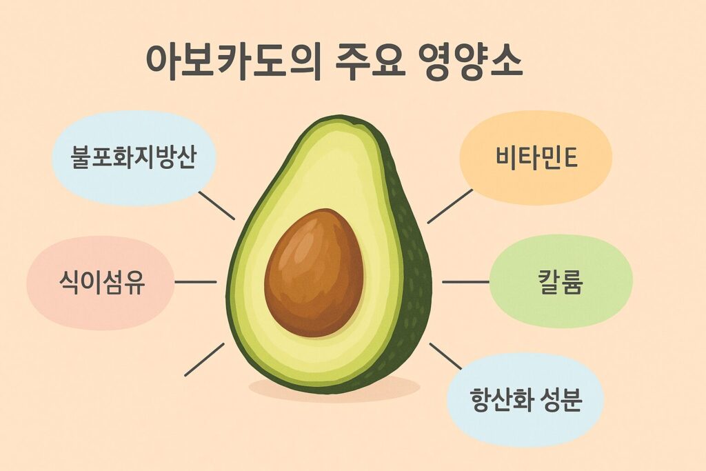 아보카도 영양소 인포그래픽
