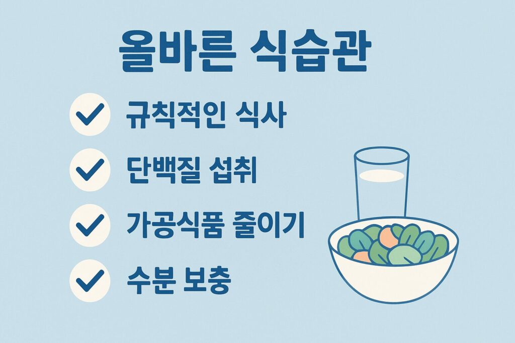 올바른 식습관 다이어그램