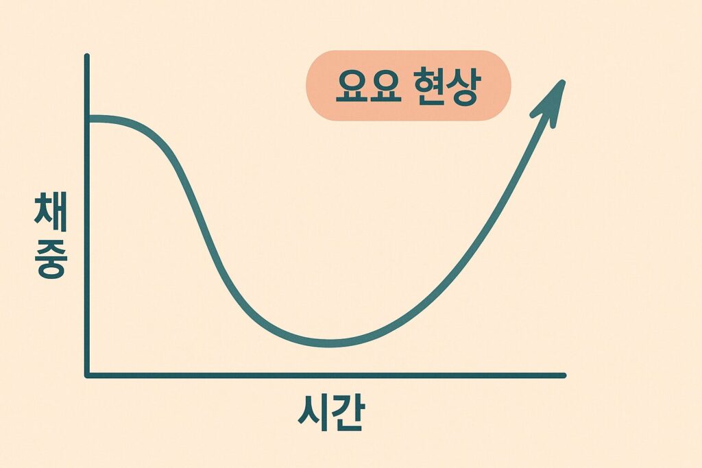 요요 현상 개념도