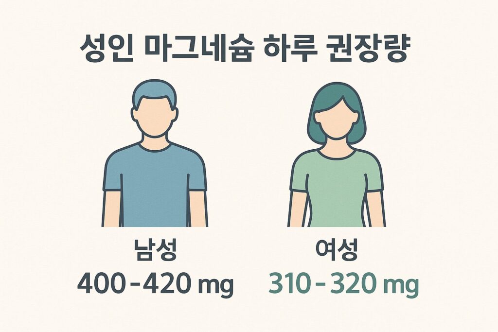 하루 권장량
