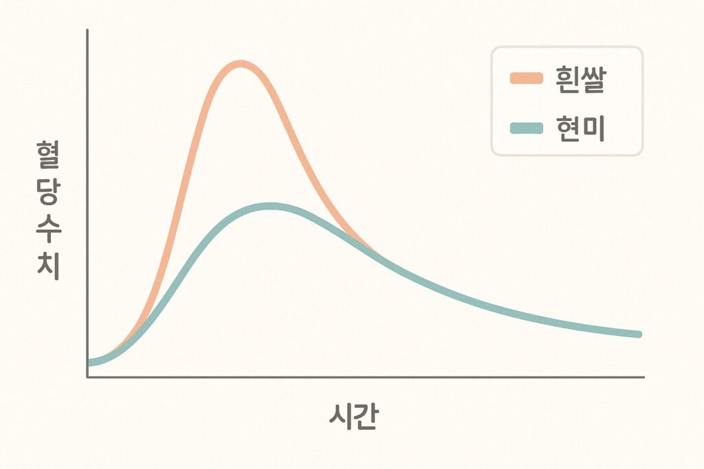 혈당 곡선 그래프
