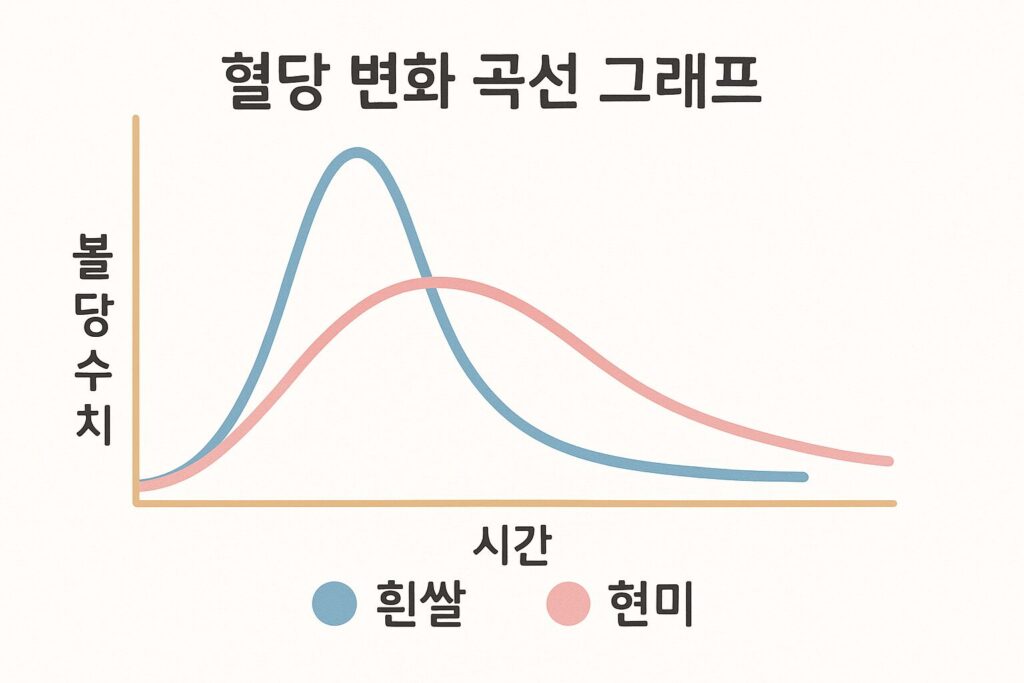 흰쌀 vs 현미 비교 인포그래픽
