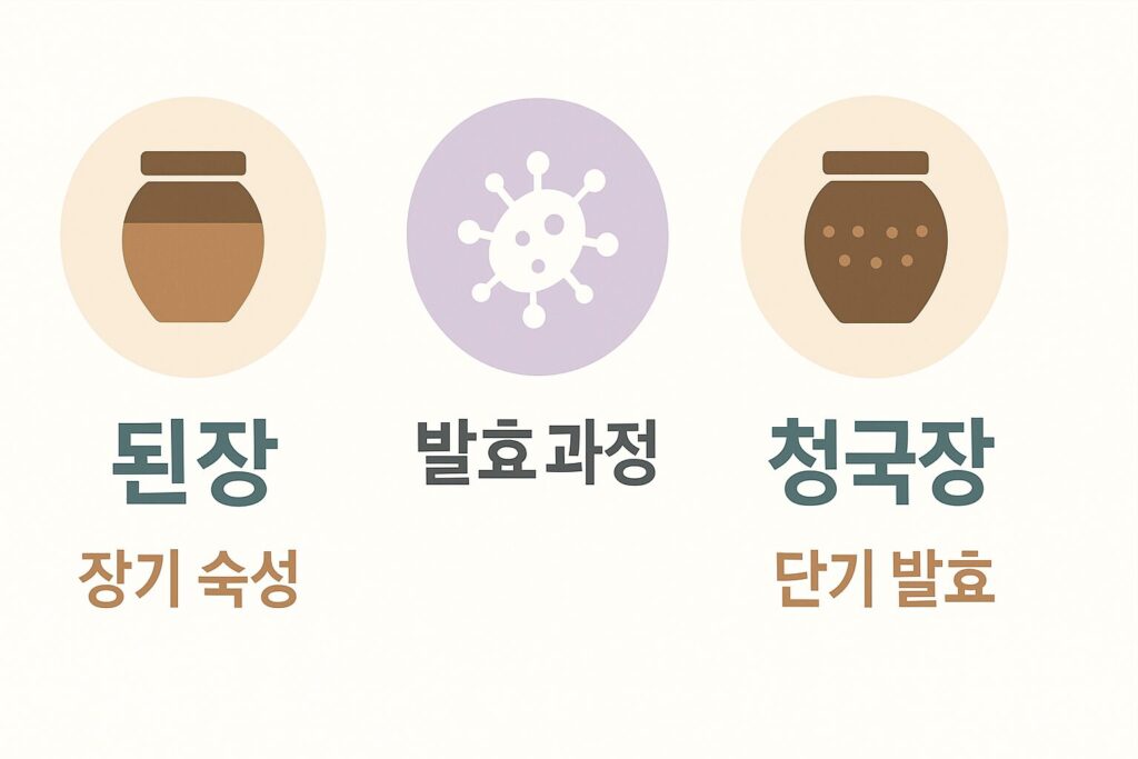 발효 과정 비교
