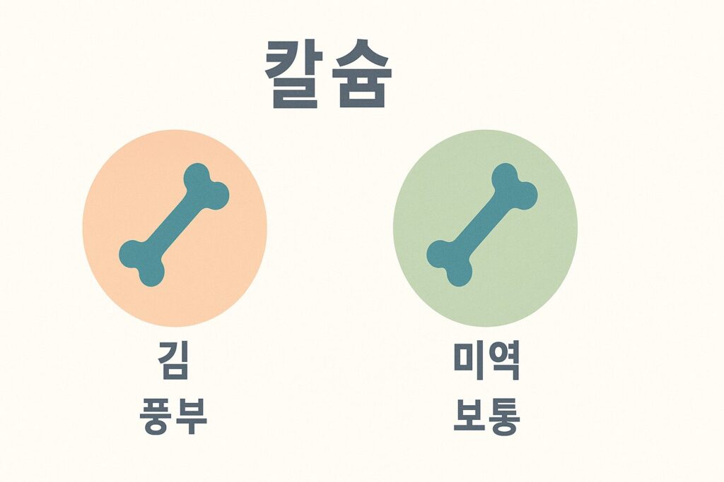 칼슘 함량 인포그래픽