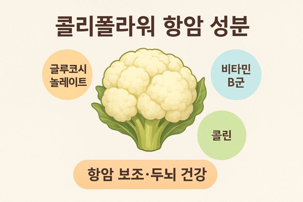 콜리플라워 항암 성분 인포그래픽